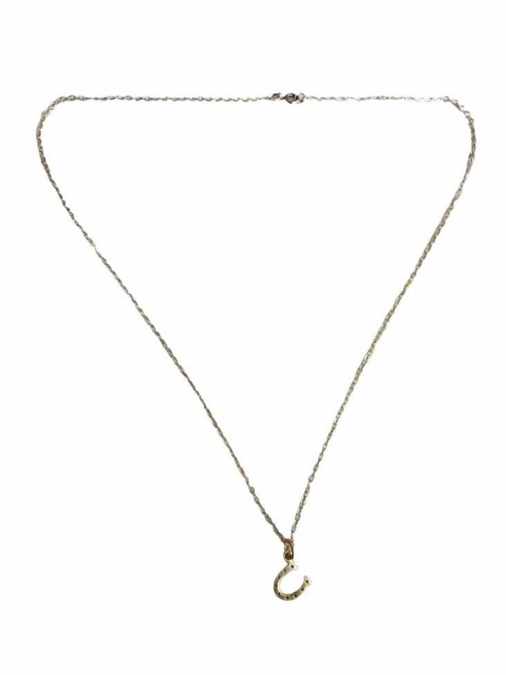 Gold Horseshoe Pendant Necklace with Delicate Chain 18 inches